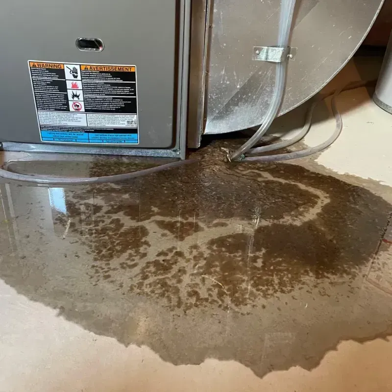 Appliance Leak Cleanup in Garwood, NJ